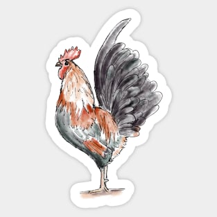 Watercolor Rooster / Rooster Art / Rooster Drawing / Farm Animal Sticker